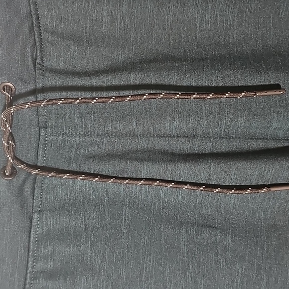 American Eagle Men's Teal Jogger Pants. NWOT.size Large - Picture 2 of 11